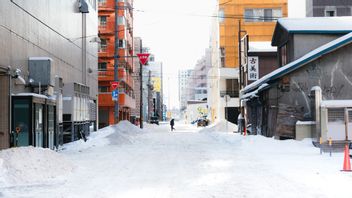 35人が2週間の間に北日本の大雪で死亡