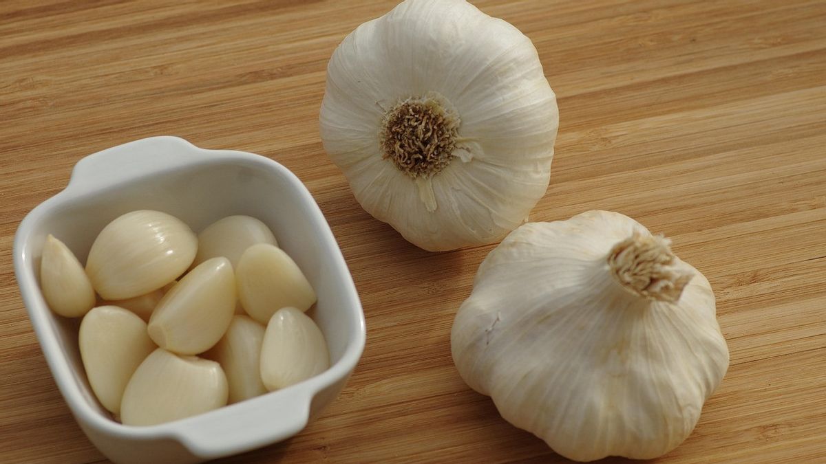 7 Manfaat Bawang Putih untuk Ayam: Obat Alami yang Wajib Dicoba Peternak!