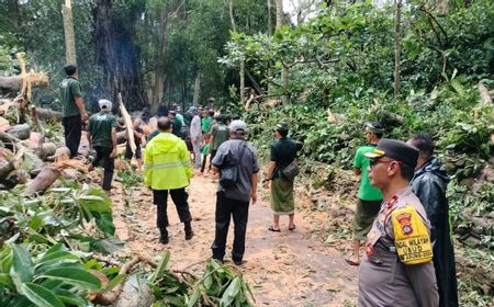 Turis Tewas di Monkey Forest, Anggota DPR Siti Mukaromah Minta Pengelola Wisata Pastikan Standar Keselamatan