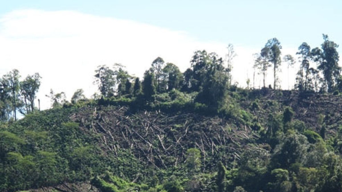 Tangani Klaim Cek Bocek, Pemkab Sumbawa Tunjukkan Cara Bijak Menyelesaikan Konflik Agraria
