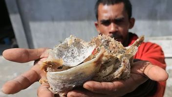 インドネシアのツバメの巣のための回復力のある地域、中国からアメリカに輸出