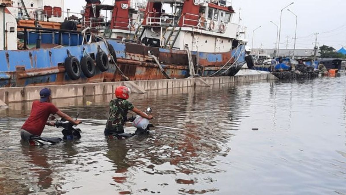 Banjir Rob 2 Meter Landa Pesisir Kota Semarang