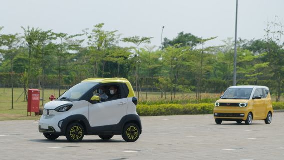 UGMオブザーバー:政府は警戒しなければならず、電気自動車市場が輸入製品によって支配されないようにする必要があります