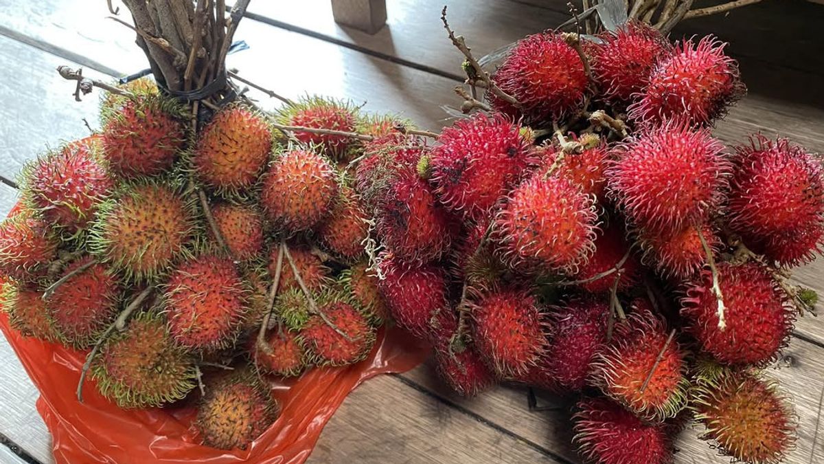 Types Of Rambutan In Indonesia That Are Popular And Widely Wanted