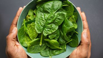 Many Health Benefits, It Turns Out That Eating Bayam Every Day Can Trigger Side Effects