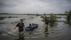 BNPB Demak Kebanjiran的37个村庄:Jebolnya Tuntang River Tanggul Picu Longover