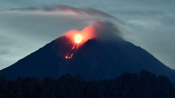 セメル山噴火:34人が死亡、22人が行方不明と宣言
