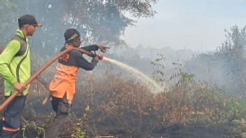 Karhutla Aceh Selatan Hampir 10 Hari, Kabut Asap Berpotensi Meluas ke Aceh Tenggara