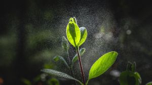 今日の天気予報、曇りと小雨の大部分