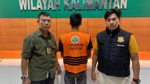 Kemenhut Tangkap Pembuat Dokumen Palsu Sindikat Pembalakan Liar di Kalimantan Timur