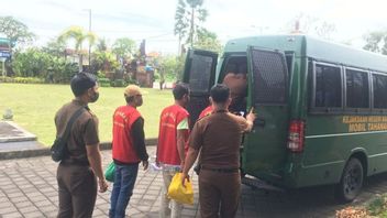 Berkas P21 Sudah Dilimpahkan ke Kejaksaan, 3 Penyelundup Penyu Hijau di Bali Segera Disidang 