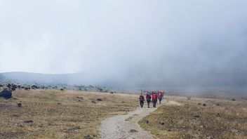 PVMBG Catat Peningkatan Gempa Tektonik Lokal di Gunung Gede, Berlangsung 10-86 Detik