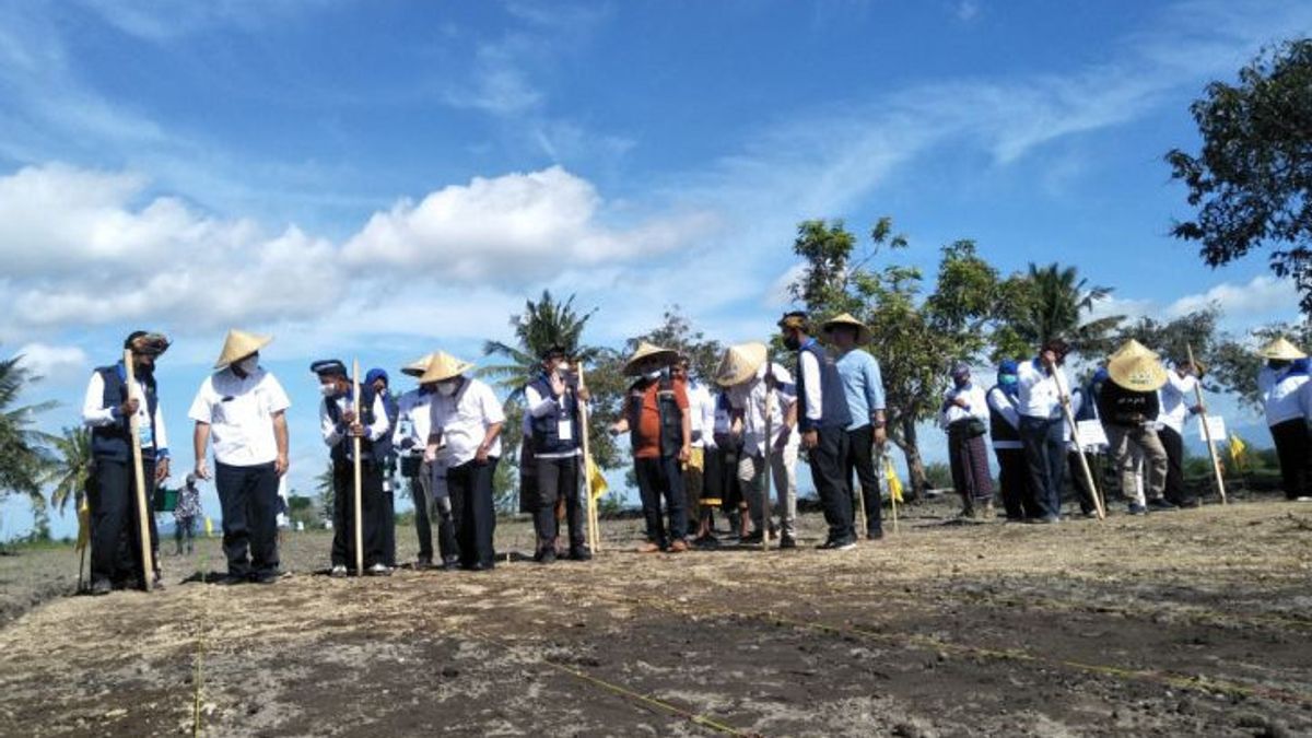 PUPR省がロンボク島中部のソルガム開発を支援