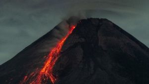 Gunung Merapi Luncurkan 10 Kali Guguran Lava Pijar