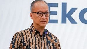 Menperin Agus Gumiwang: Per November 2024, Ada 165 Kawasan Industri Sudah Dapat Izin Usaha