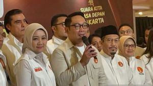 PPI调查:Ridwan Kamil-Suswono的可选举性达到47.8%