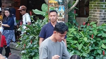 开斋节假期,副总统与家人一起访问婆罗浮屠地区