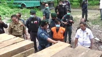 One More Suspect Of Illegal Timber Smuggling In Central Sulawesi
