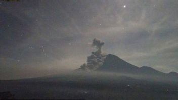    Gunung Semeru Erupsi Disertai Luncuran Awan Panas Sejauh 4,5 Km