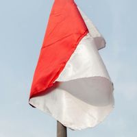 Polisi Gandeng Kementerian Hingga Interpol Buru Pria Pembakar Bendera Merah Putih di Malaysia