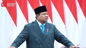 Sebut Kehadiran Danantara, Prabowo Klaim Pengangguran Turun ke Level Terendah