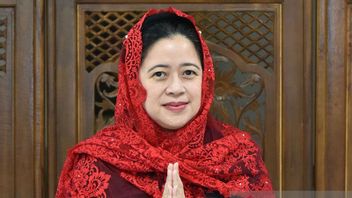 Hari Bidan Internasional, Puan Maharani: Terima Kasih Atas Dedikasi yang Diberikan, Para Ibu Berhasil Melahirkan