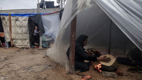 Après les troupes israéliennes et les conditions météorologiques extrêmes, les réfugiés de Gaza font maintenant face à des rats porteurs de maladies