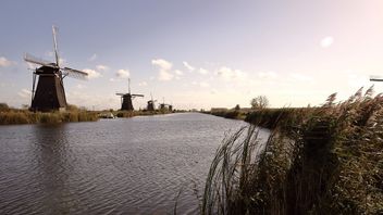 في الصيف القارس ، هولندا تعلن عن نقص المياه بسبب الجفاف
