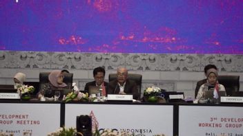 インドネシア、G20DWG会合の結果をまとめ、多国間主義を強調