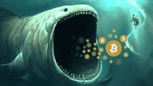 <i>Whale</i> Ini Pindahkan 11.611 Bitcoin ke Bursa Kripto