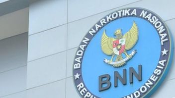 BNNP Riau Sita 63 Kg Ganja Kering dari Kampus UIN Suska