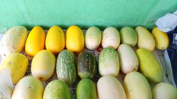 Tips for Choosing Mature Cucumber: Complete Guide for You