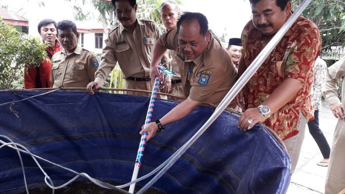 Tumpah! Produksi Ikan di Bangka Tengah Capai 29.524,14 Ton