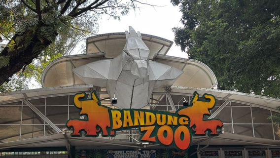 TSI Bidik Pengelolaan Kebun Binatang Bandung Zoo, Utamakan Konservasi Satwa