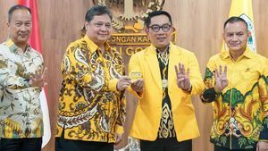 戈尔卡尔的政治计数,Ridwan Kamil更多的是被西爪哇地区选举推动的