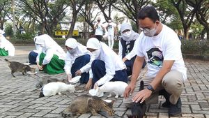 Anies Baswedan Targetkan Jakarta Jadi Kota Ramah Hewan dalam Memori Hari Ini, 28 September 2021