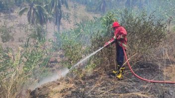 Kabut Asap Karhulta Bikin ISPA Anak, Pemerintah Perlu Pastikan Peningkatan Tingkatkan Pelayanan Faskes