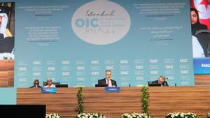 Menlu Sugiono Ingin OKI Bersatu Wujudkan Reformasi Multilateral dan Mengintensifkan Kolaborasi