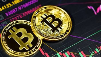 Ini Trader Kripto yang Berhasil Ramal Harga Bitcoin Jatuh