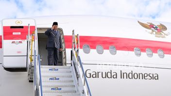 Karpet Merah Pemerintah Indonesia untuk WNA Duduki Jabatan Direksi BUMN Apa Tujuannya?