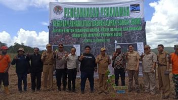 Freeport Rehabilitasi Daerah Aliran Sungai di Distrik Kemtuk Jayapura