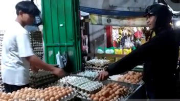 望加锡Membus的鸡蛋每拉克57-6万印尼盾，贸易商要求政府稳定价格