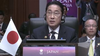 Jokowi Asks Japan To Increase Infrastructure Investment To ASEAN, This Is PM Fumio's Response