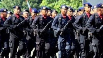 100 Brimob Nusantara Polda Riau Revient De Papouasie