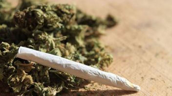 锡塔海关170公斤亚齐本土大麻通过在线销售