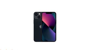 苹果有机会恢复独特且已注射死亡的iPhone Mini
