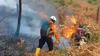 BKSDA パパンダヤン 山の森林火災を消火する要員を追加