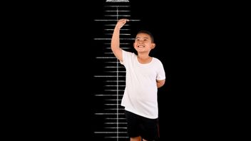 スタントとスタントの違いを3つ知ってください、親は知っておくべきです!