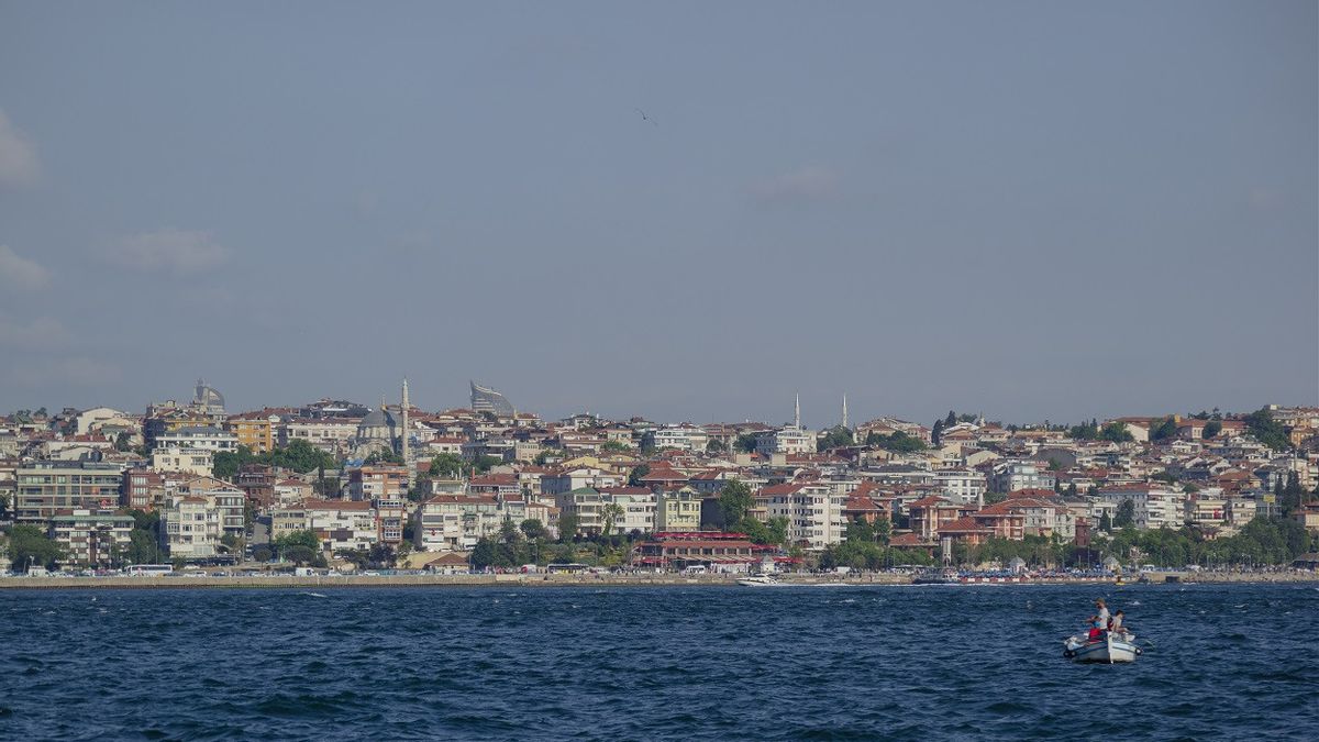 トルコのマルマラ海で魚が飛んでいる、住民は注意するよう求められている