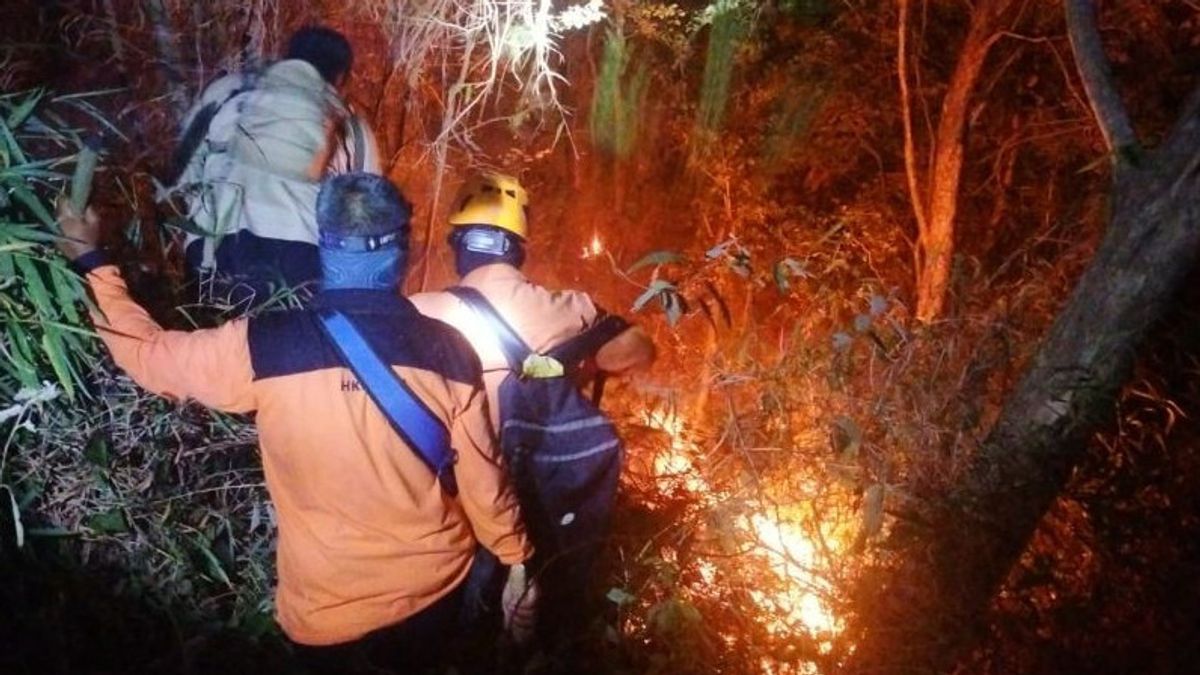    120 Personel Gabungan Dikerahkan Padamkan Kebakaran di TN Gunung Ciremai